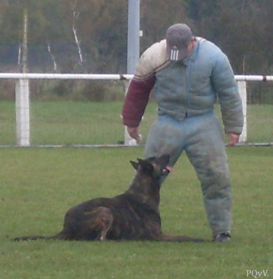  Eros des Crocs d’Olympe